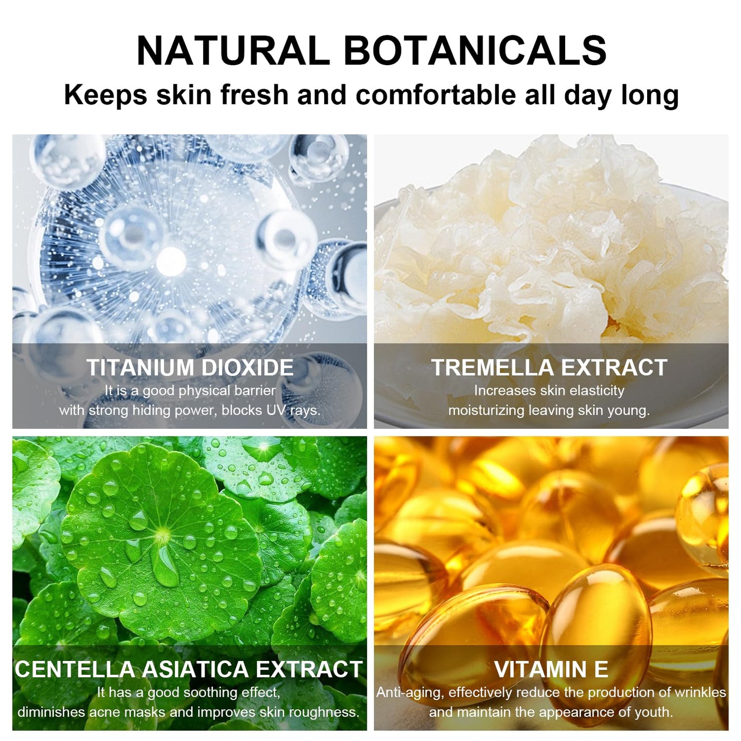 Mushroom Head Air Cushion CC Cream Foundation - Moisturizing Concealer for Even Skin Tone - Makeup Base Primer (#01 Ivory White)