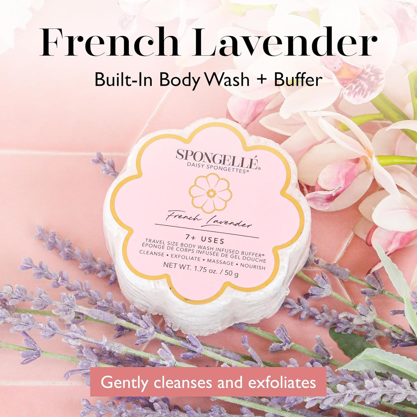 Spongelle Daisy Spongette French Lavender