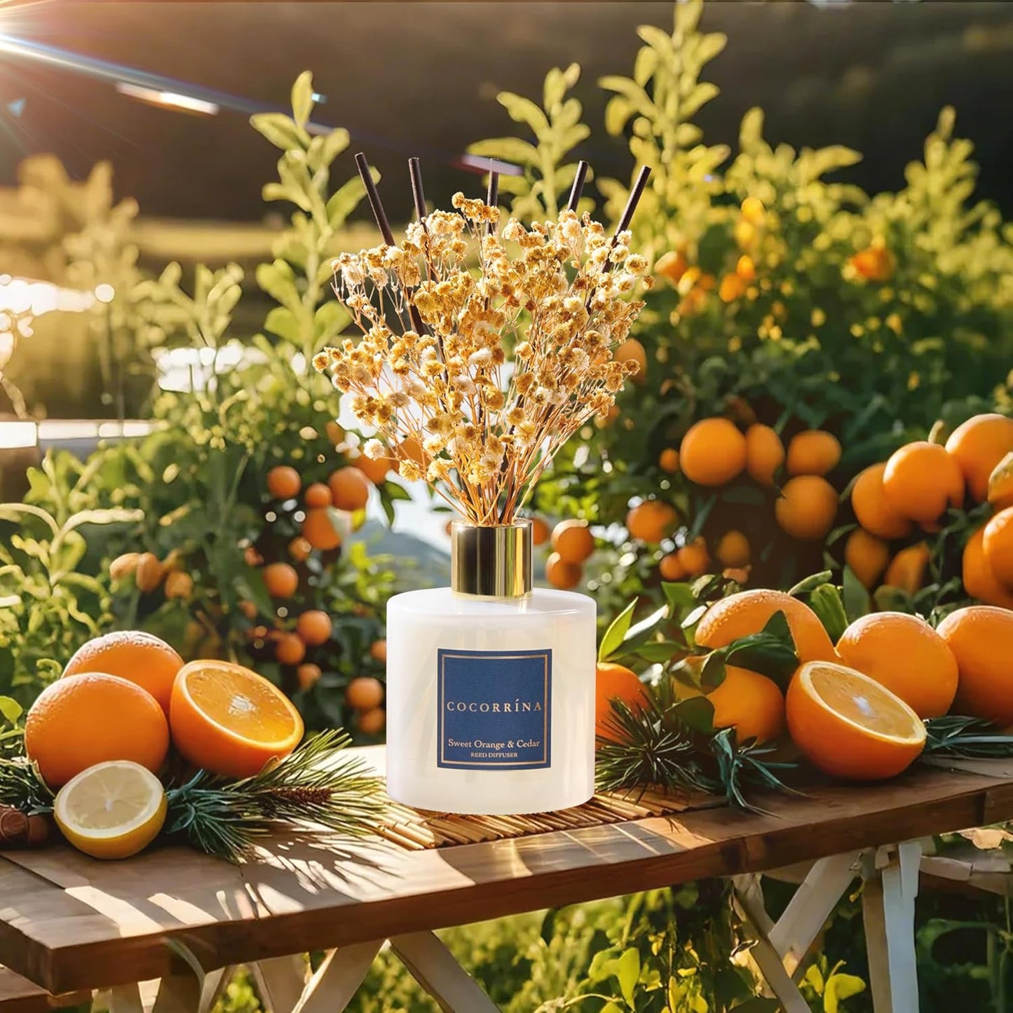 COCORRÍNA Reed Diffuser - Sweet Orange & Cedar 6.7 Fl.oz Reed Diffuser Set with Sticks & Preserved Baby's Breath, Reed Diffuser for Home Bathroom Shelf Decor