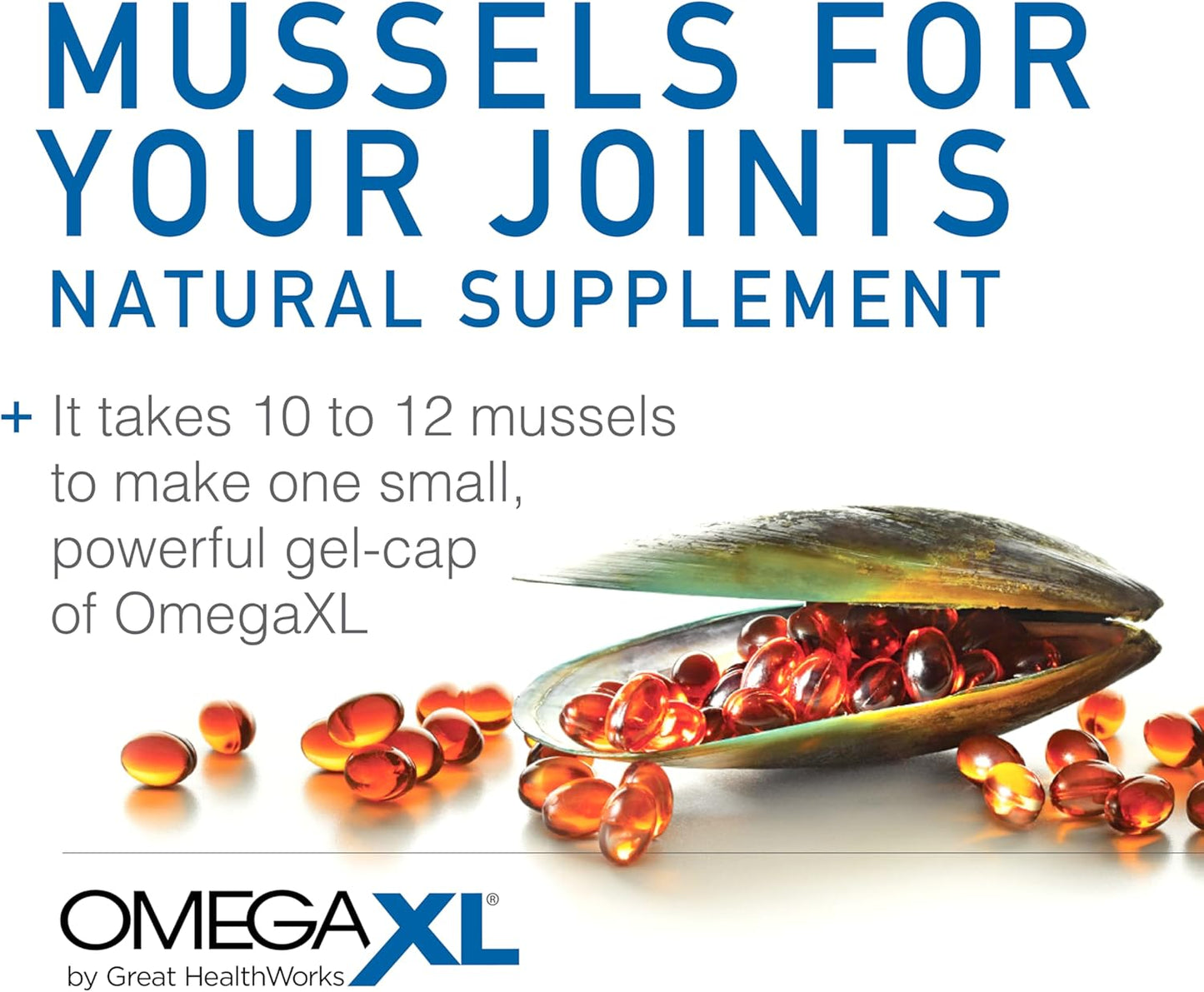 OmegaXL Joint Support Supplement - Natural Muscle Support, Green Lipped Mussel Oil, Soft Gel Pills, Drug-Free, 60 Count (2 Pack)