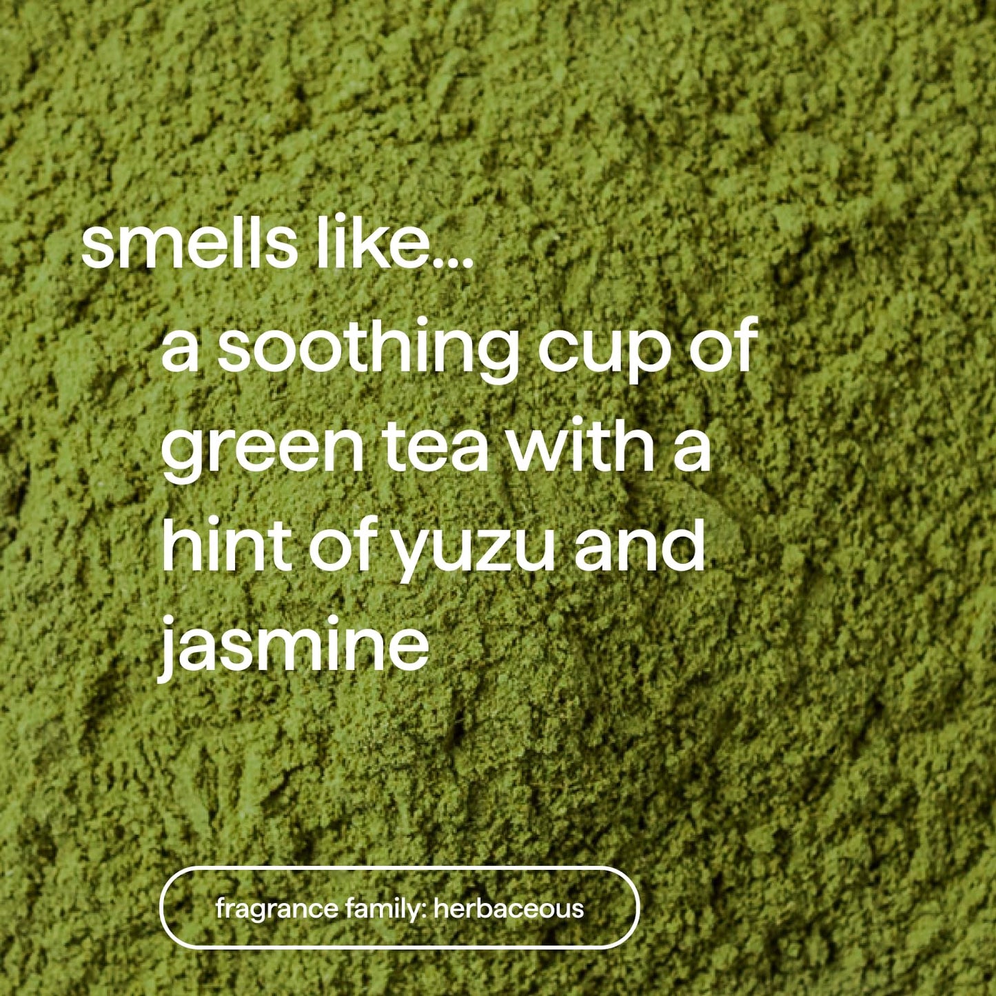 Method Color Protect Shampoo, Mindful Matcha, Matcha + Yuzu + Jasmine notes, 14oz