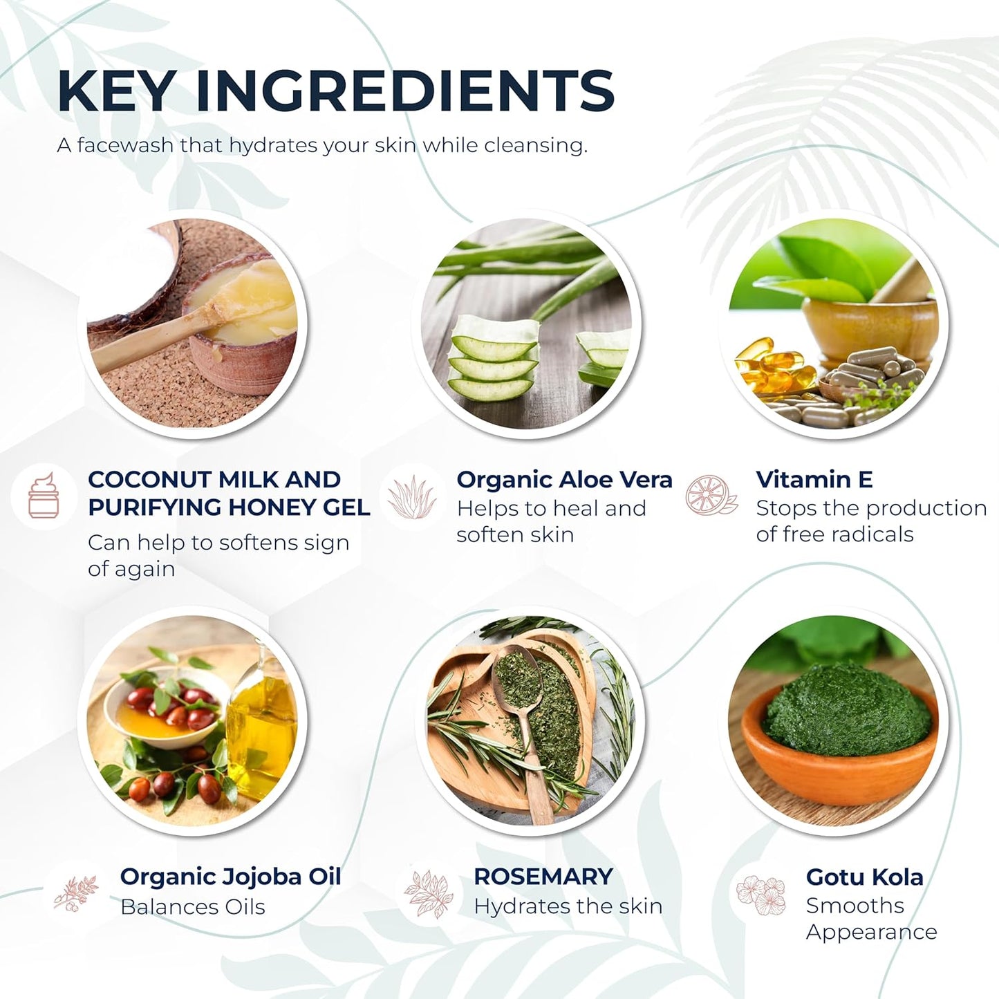 Coconut Milk & Honey Face Wash 4 fl oz – Gentle Hydrating Cleanser for Sensitive to Dry Skin | Fragrance-Free, Non-Drying Formula with Aloe & Jojoba | Ideal for Redness, Dryness & Daily Makeup Removal