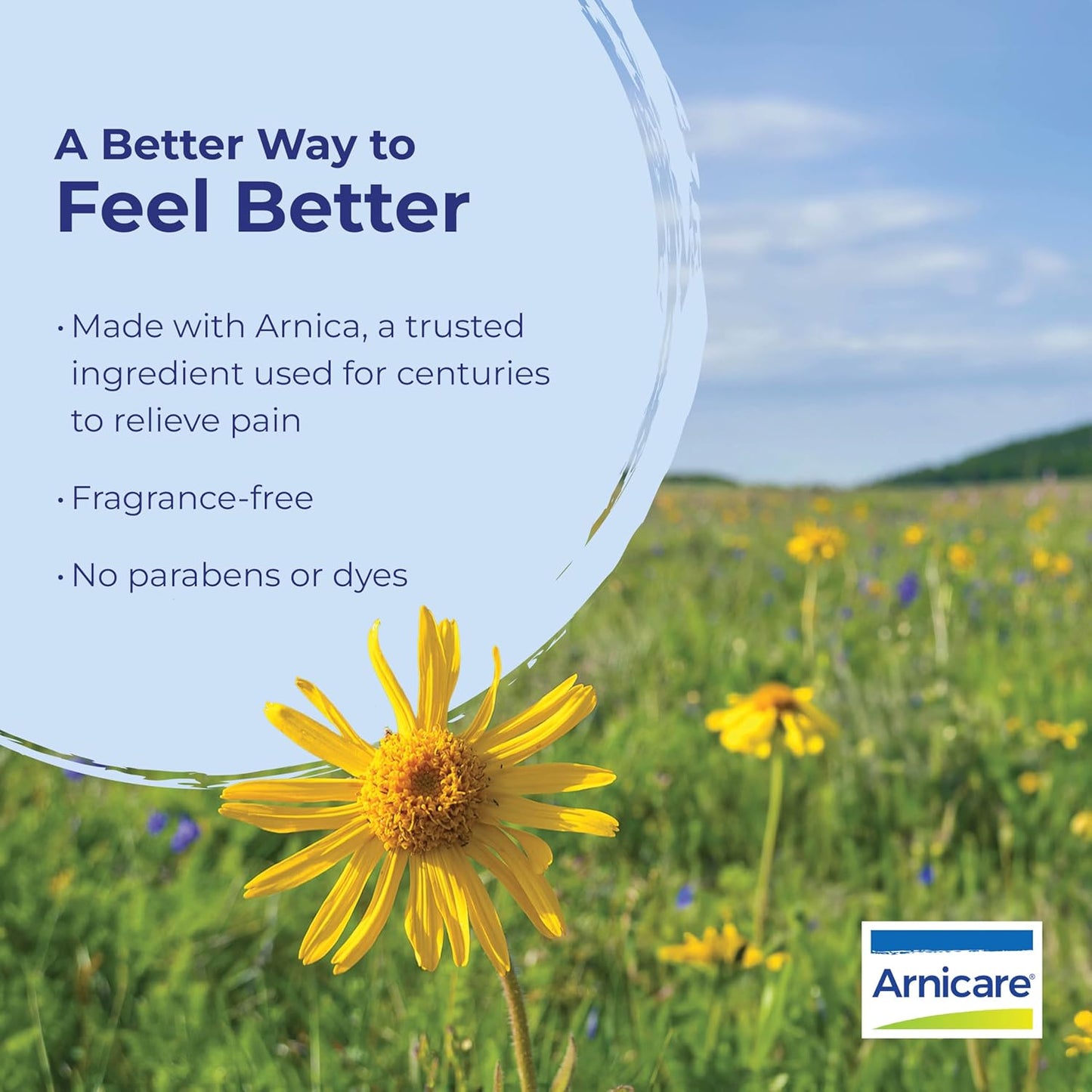 Boiron Arnicare Gel for Relief of Joint Pain, Muscle Pain, Muscle Soreness, and Swelling from Bruises or Injury - Non-greasy and Fragrance-Free - 2.6 oz