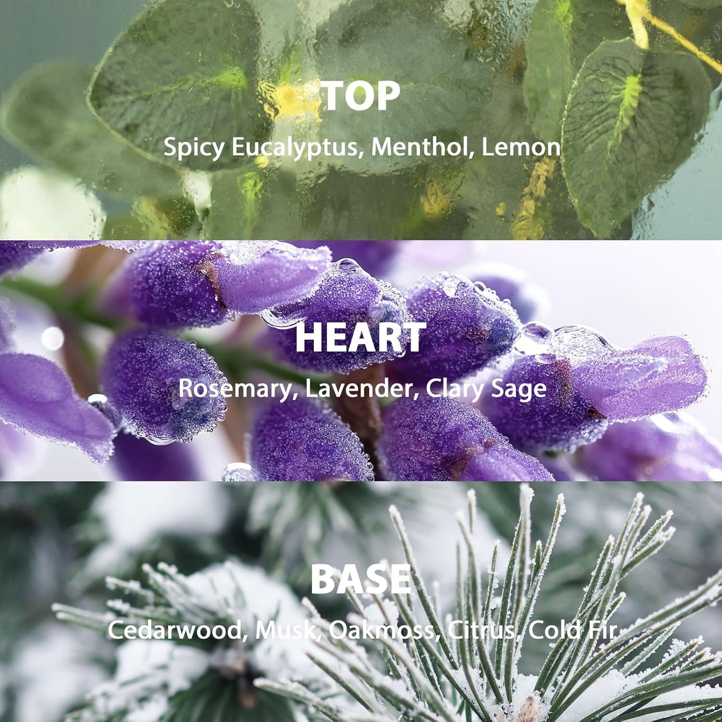 Reed Diffuser Set, 3.52 oz (100ml) Scented Diffuser with Sticks Home Fragrance Reed Diffuser for Bathroom Shelf Decor, Ideal Gift for Woman (Lavender Eucalyptus)