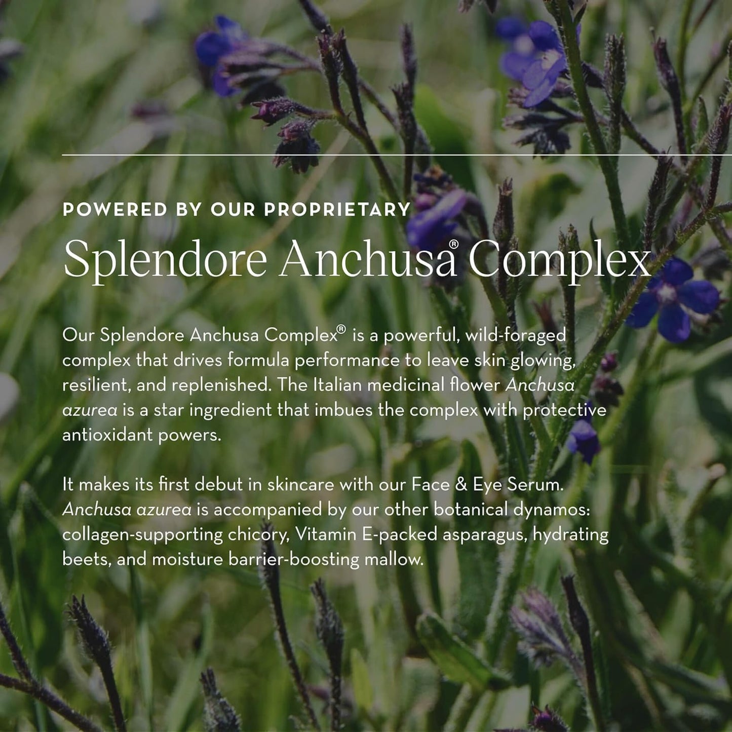 Furtuna Skin Face & Eye Serum - Dual-Use Formula to Lift, Reduce Puffiness and Even Tone, Wild-Foraged Botanicals, Vegan, Dermatologist Tested, EWG Verified, 30ml