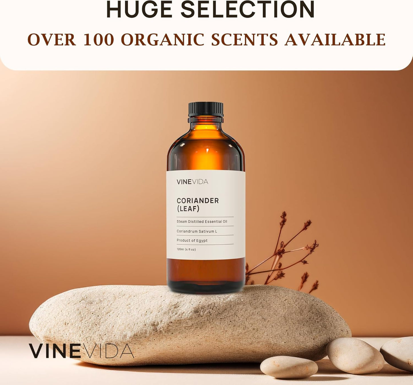 VINEVIDA Coriander Essential Oil 4 oz - Scent for DIY Candles & Soap Making