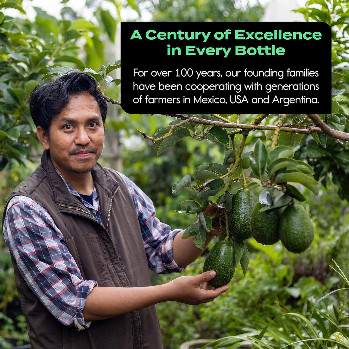 SIMPLE FOODS Avocado Oil 25.4 Fl oz