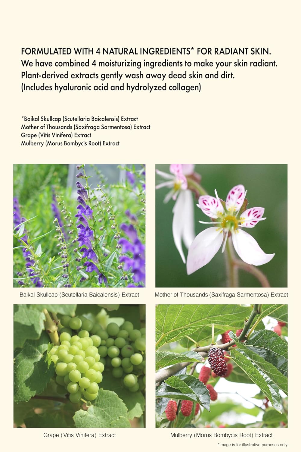 iroha Intimate Care-PH Balanced Daily Feminine Wash-Plant Based Vulva Hygiene-Moisturizing Natural Essential Oils-Floral Damask Rose &Geranium Scent, Made in Japan, 5 fl