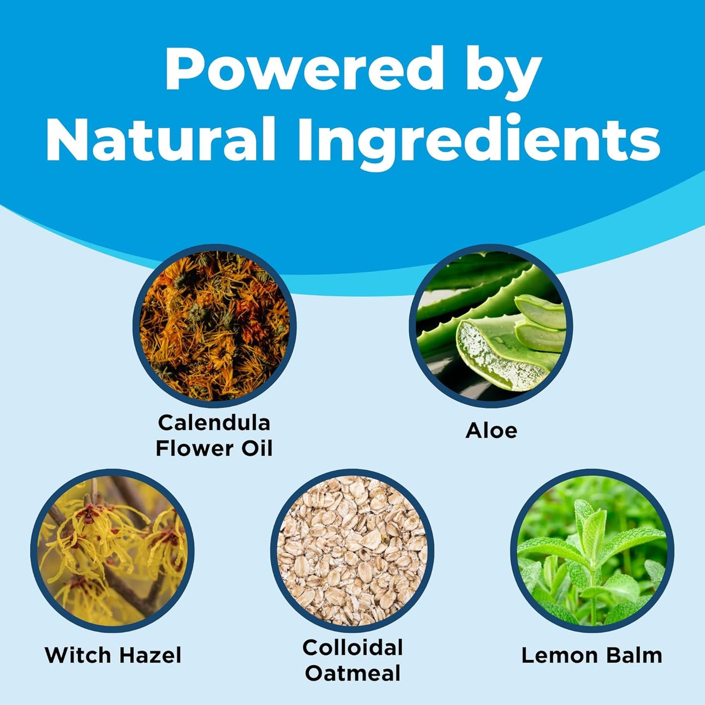 FemiClear® Ultra-Gentle Feminine Wash – Made with Lysine & Lemon Balm for Feminine Hygiene, Essentials for Vaginal Health (6FL oz)