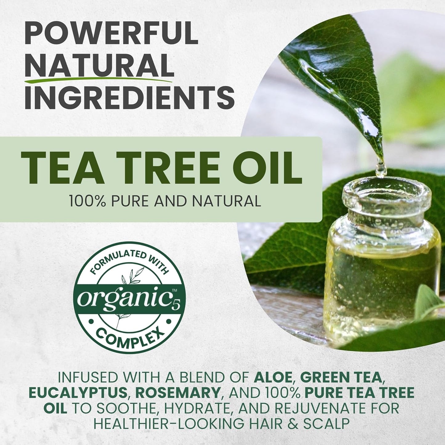 Pure Tea Tree Oil Leave In Conditioner Serum, Detangler Spray, Frizz Control, Dry & Itchy Scalp Treatment, Anti Dandruff, Scalp Psoriasis Relief, Men & Women, Paraben & Sulfate Free