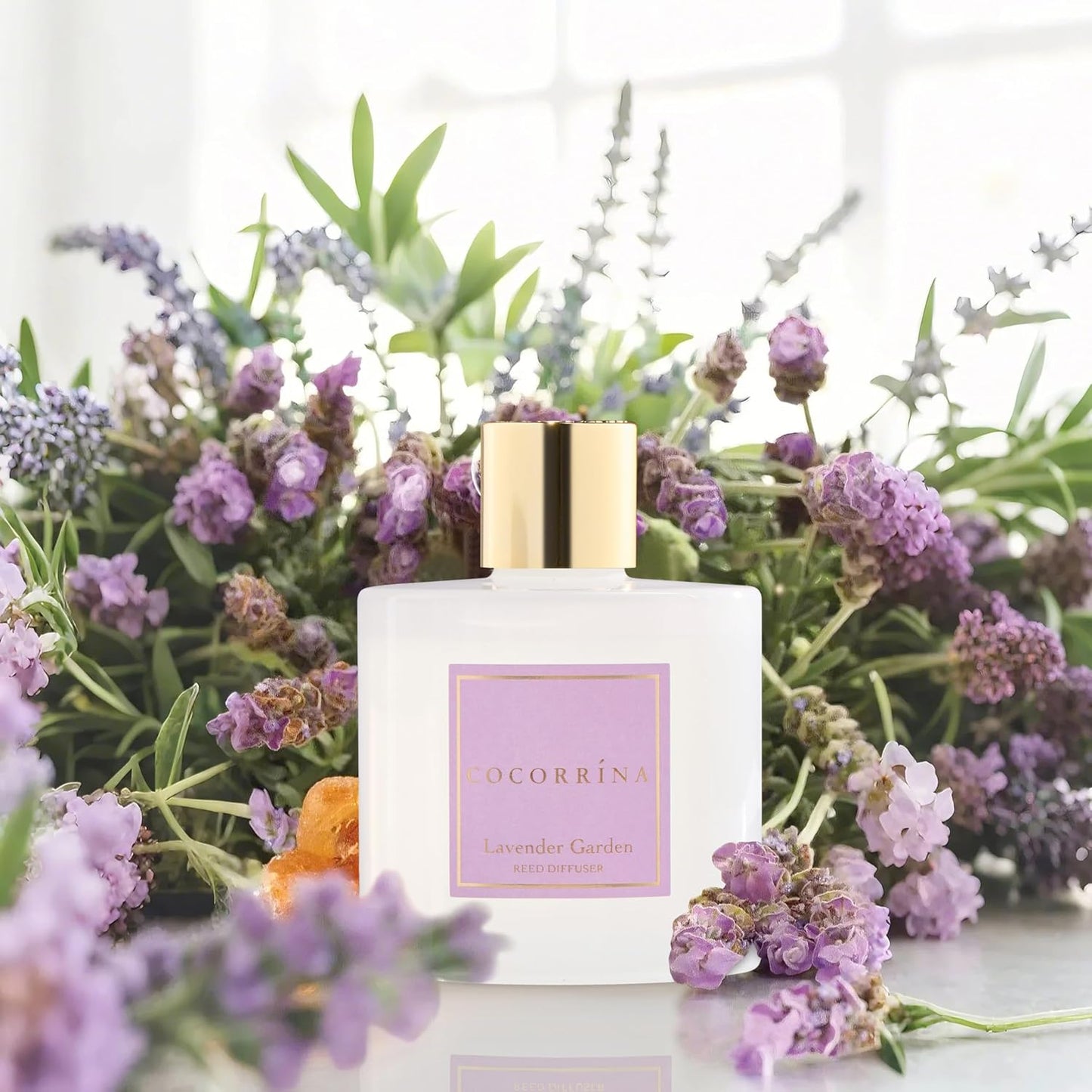 COCORRÍNA Reed Diffuser - Lavender Garden 6.7 Fl.oz Reed Diffuser Set with Sticks & Preserved Baby's Breath, Reed Diffuser for Home Bathroom Shelf Decor