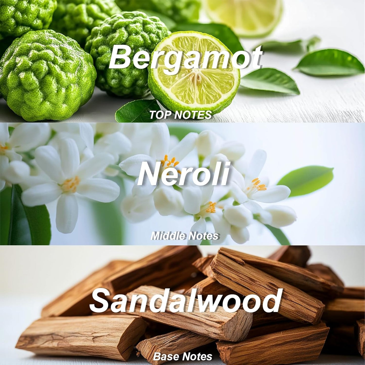 Vassili Fragrance Body Wash - Long-Lasting Aroma with Exotic Notes,Moisturizing & Gentle,For All Skin Types,Easy Rinse,12.3fl oz (Muskwood Whisper)