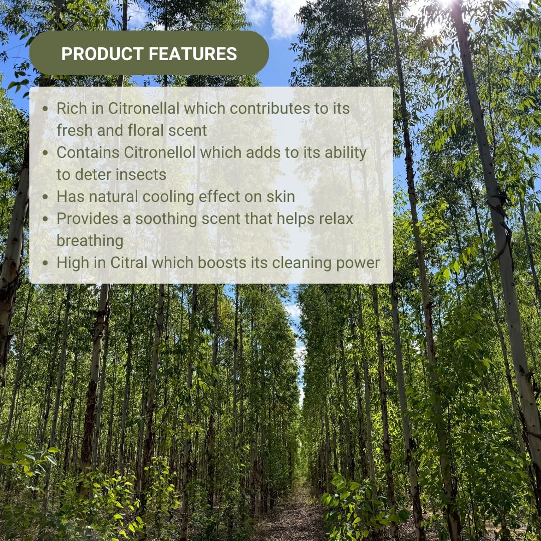 Lemon Eucalyptus Oil by Eucaliptus from Brazil - Essence of Lemon Eucalyptus (15 mL)