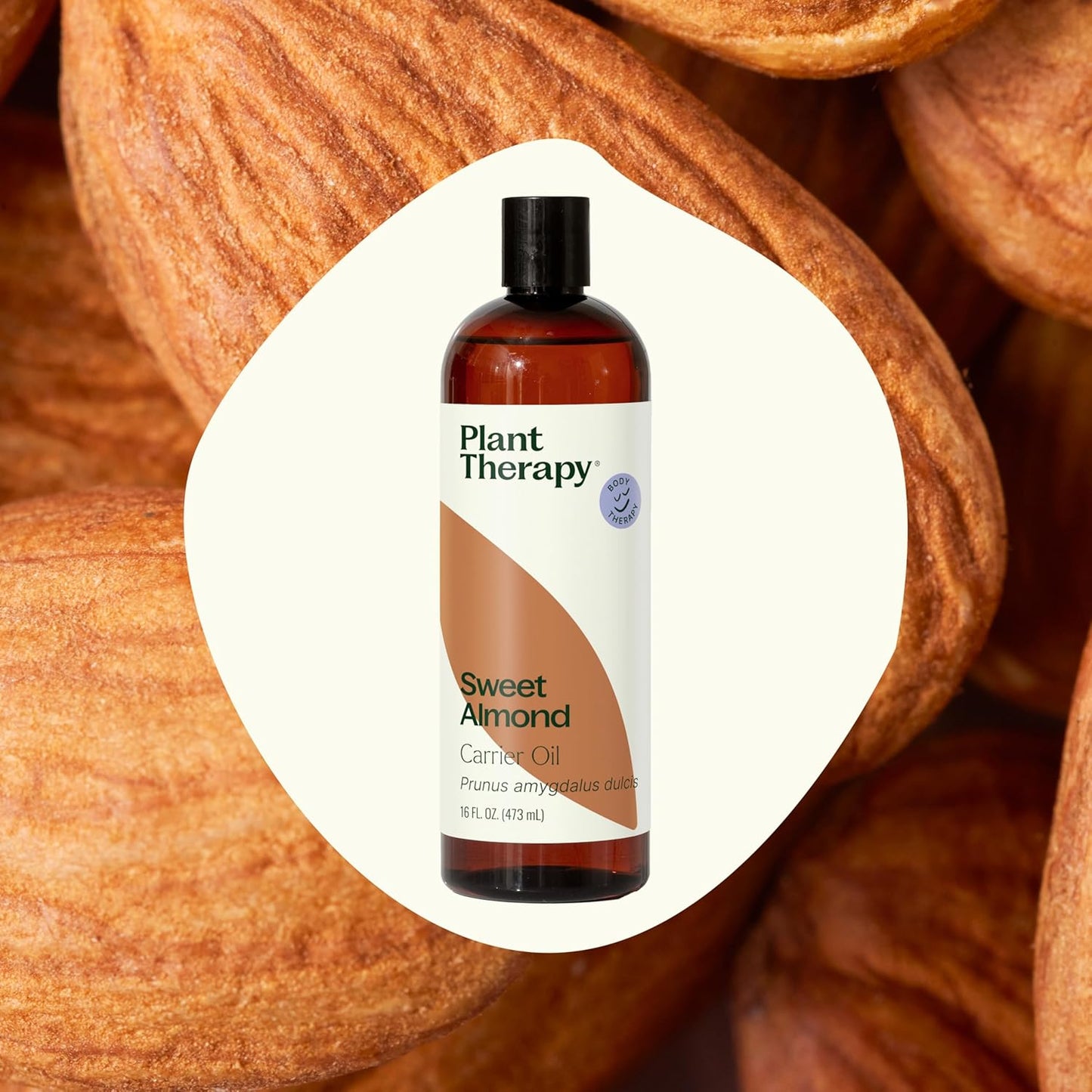 Plant Therapy Sweet Almond Oil - for Skin, Hair, Body, Face & Baby - Natural Moisturizer, Massage & Aromatherapy Carrier Oil 100% Pure, Cold Pressed California Almonds, Made in USA, 16 oz