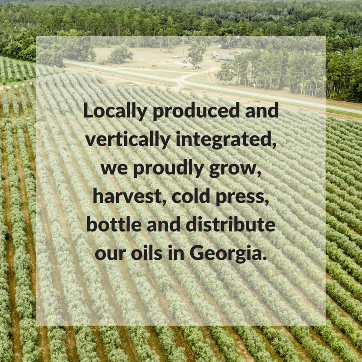 Fresh Press Farms Cold Pressed Extra Virgin Sunflower Oil, 33.8 Fl Oz, High Oleic, Georgia Grown, 100% American Made, Unrefined, Certified Whole30, Non-GMO, Keto, Paleo, Gluten Free