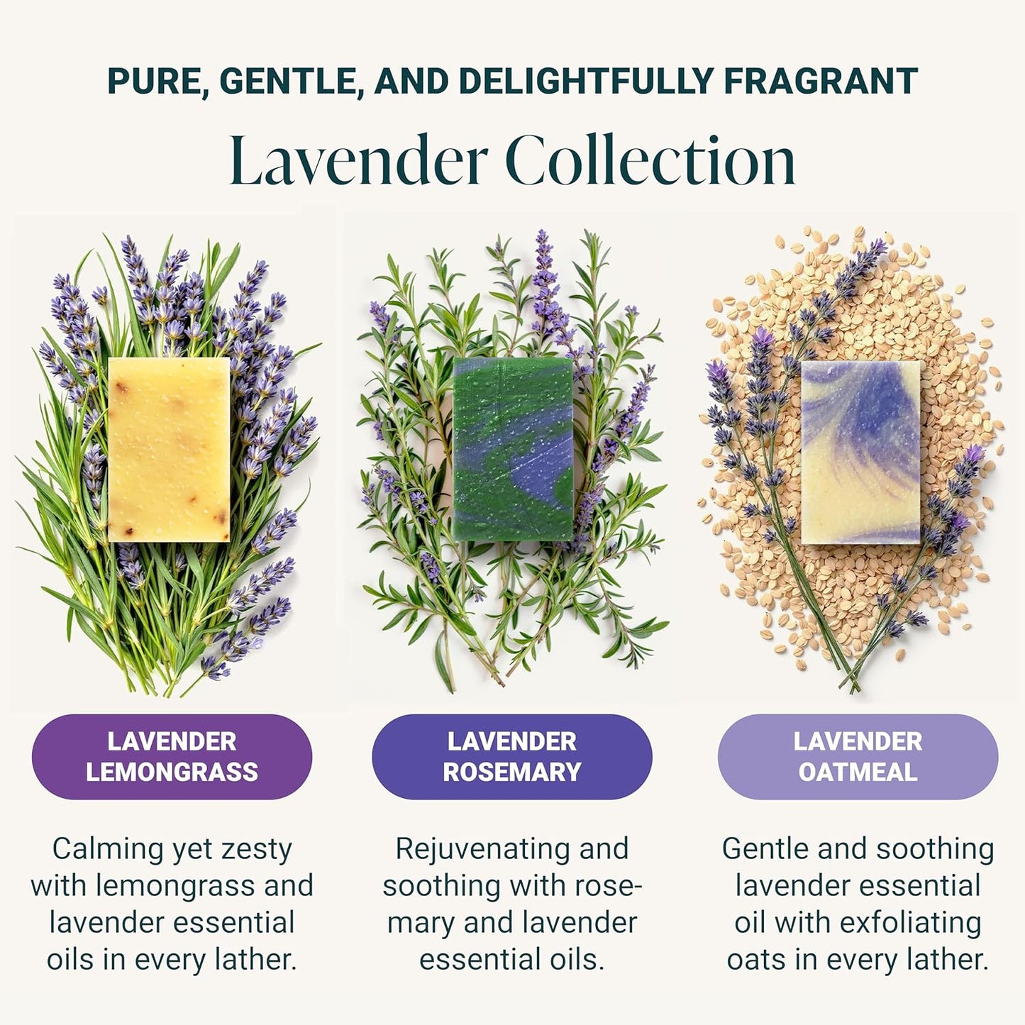 The Bubble Factory Handmade Natural Bath & Body Soap Bar, Vegan, All-Natural, Palm Oil Free, Made in USA with Shea Butter + Essential Oils, Lavender Collection, 3 Bars