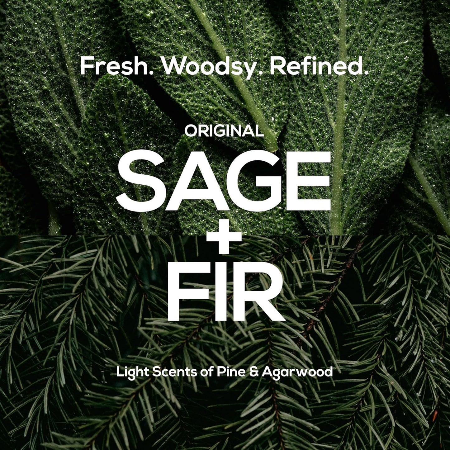 MARLOWE. No.172 Classic Mens Shampoo, Clarifies, Invigorates and Refreshes Hair with Moisturizing Argan Oil & Coconut Oil, All Hair Types, Paraben & Phthalate Free, 8 Fl Oz