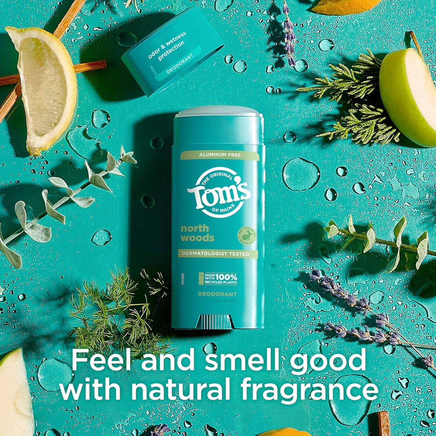 Tom’s of Maine North Woods Aluminum Free Natural Deodorant For Women & Men | Goes on Clear | Odor & Wetness Protection | Naturally Derived and Moisture-Locking Ingredients | 3.25 oz (2 Pack)