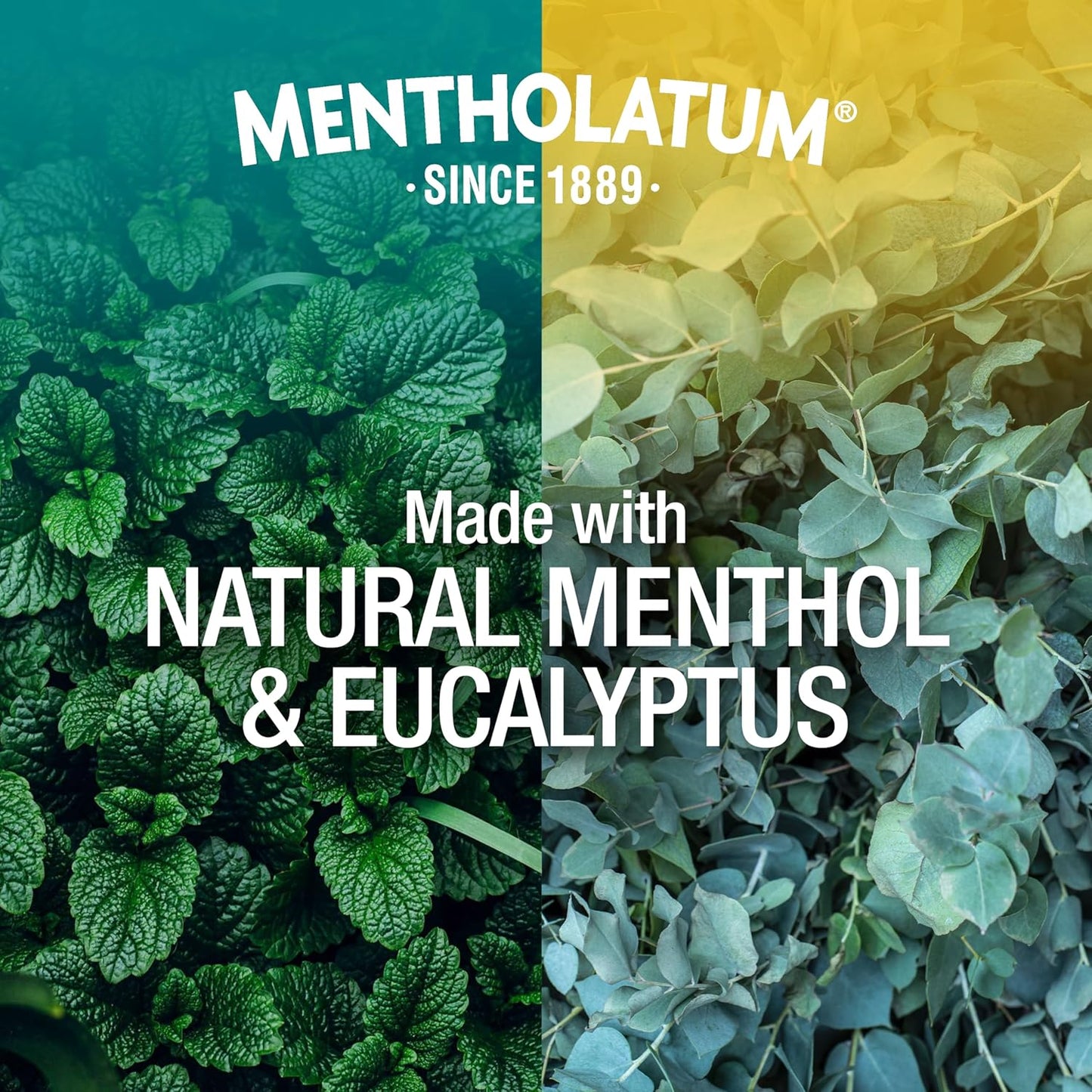 Mentholatum Vaporduo (1 Pack)