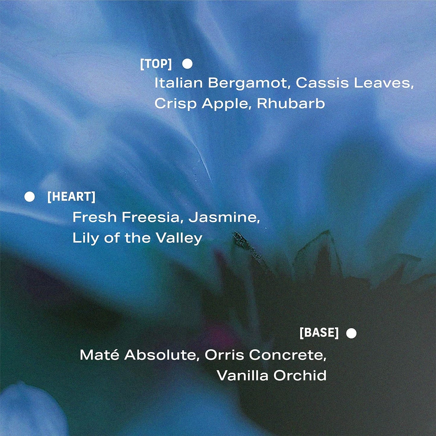 PHLUR Lost Cause Eau de Parfum - Full Size Perfume for Women & Men Fragrance - Fresh Woody Floral Perfume with Bergamot, Apple, Jasmine & Vanilla Orchid (50mL)